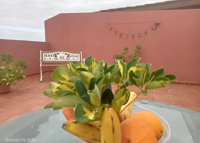 Beatifull Apto Meerblick Playa Jardin Wiffi By Interhome *